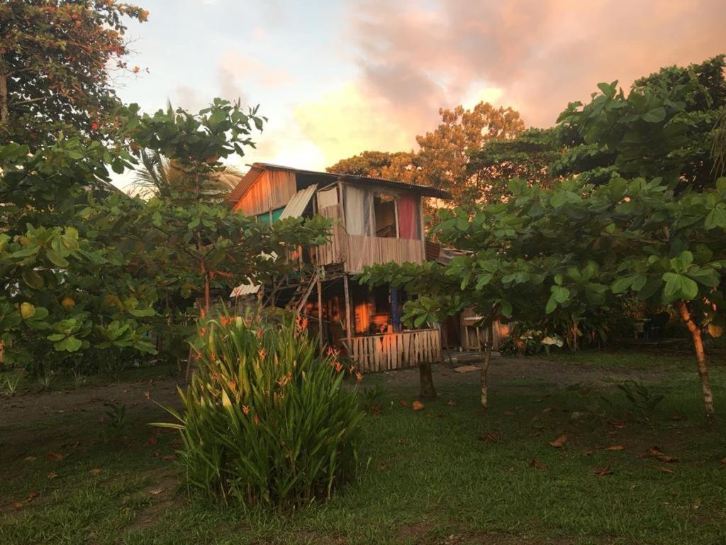 Hotel Miguel Surf Camp Quepos Exterior foto