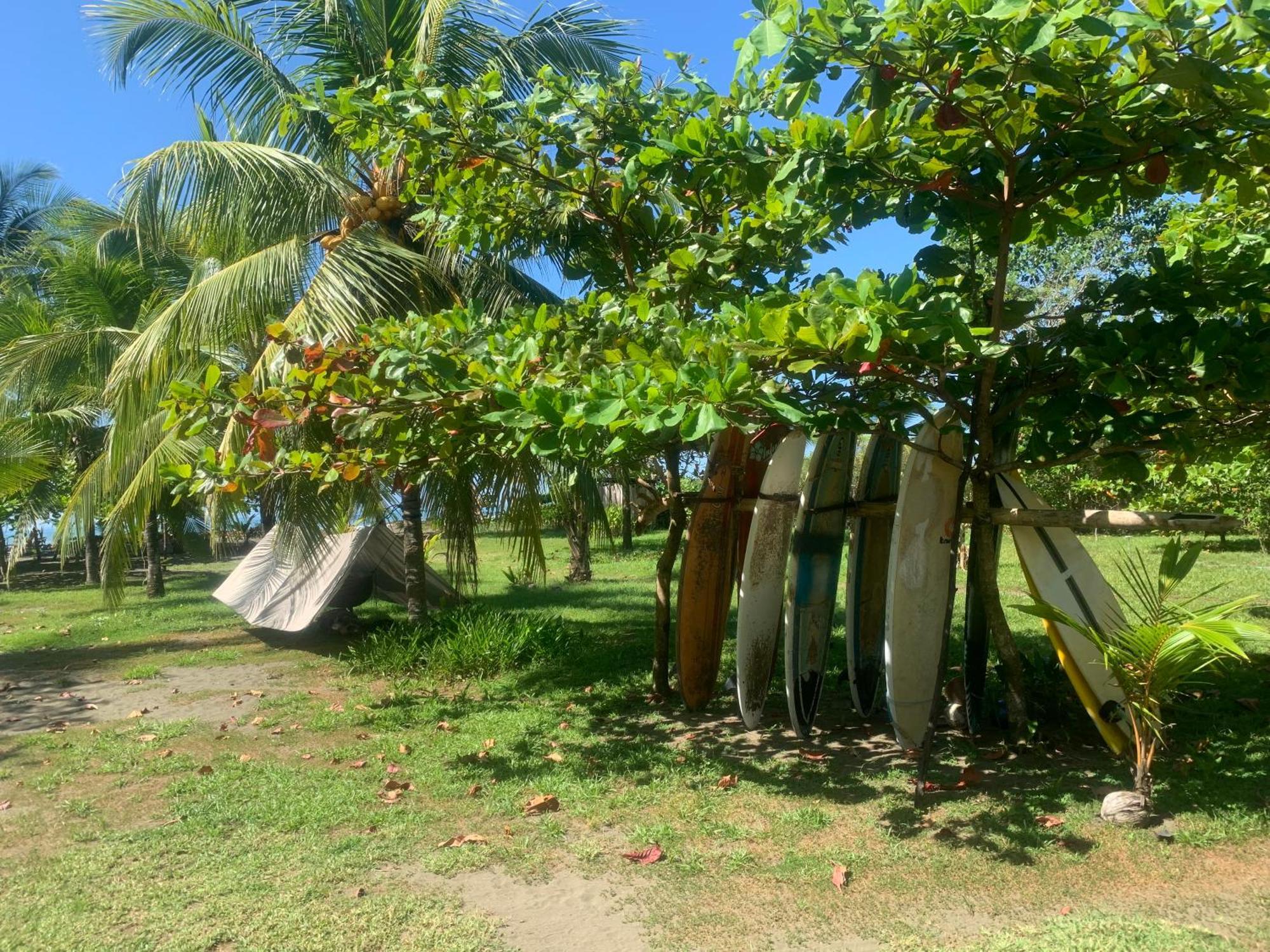 Hotel Miguel Surf Camp Quepos Exterior foto