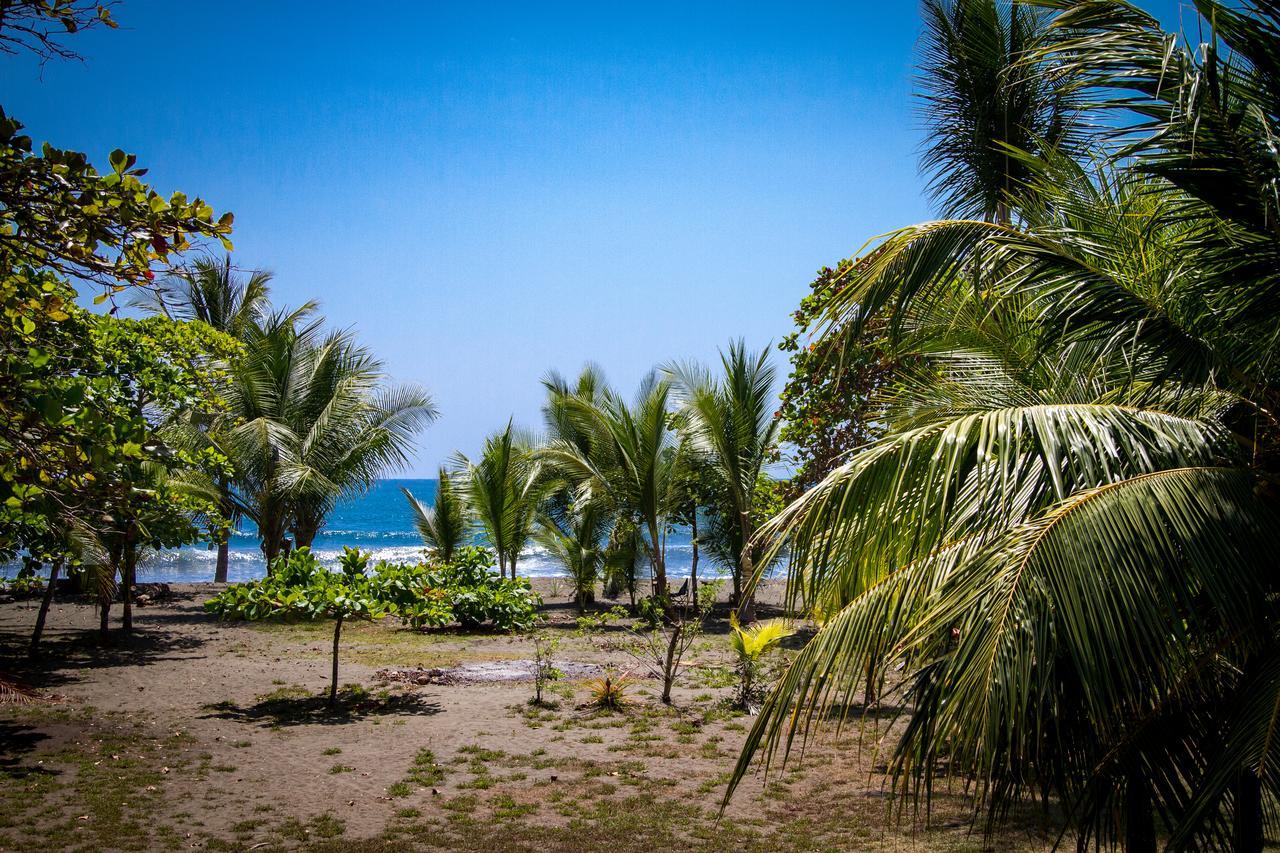 Hotel Miguel Surf Camp Quepos Exterior foto